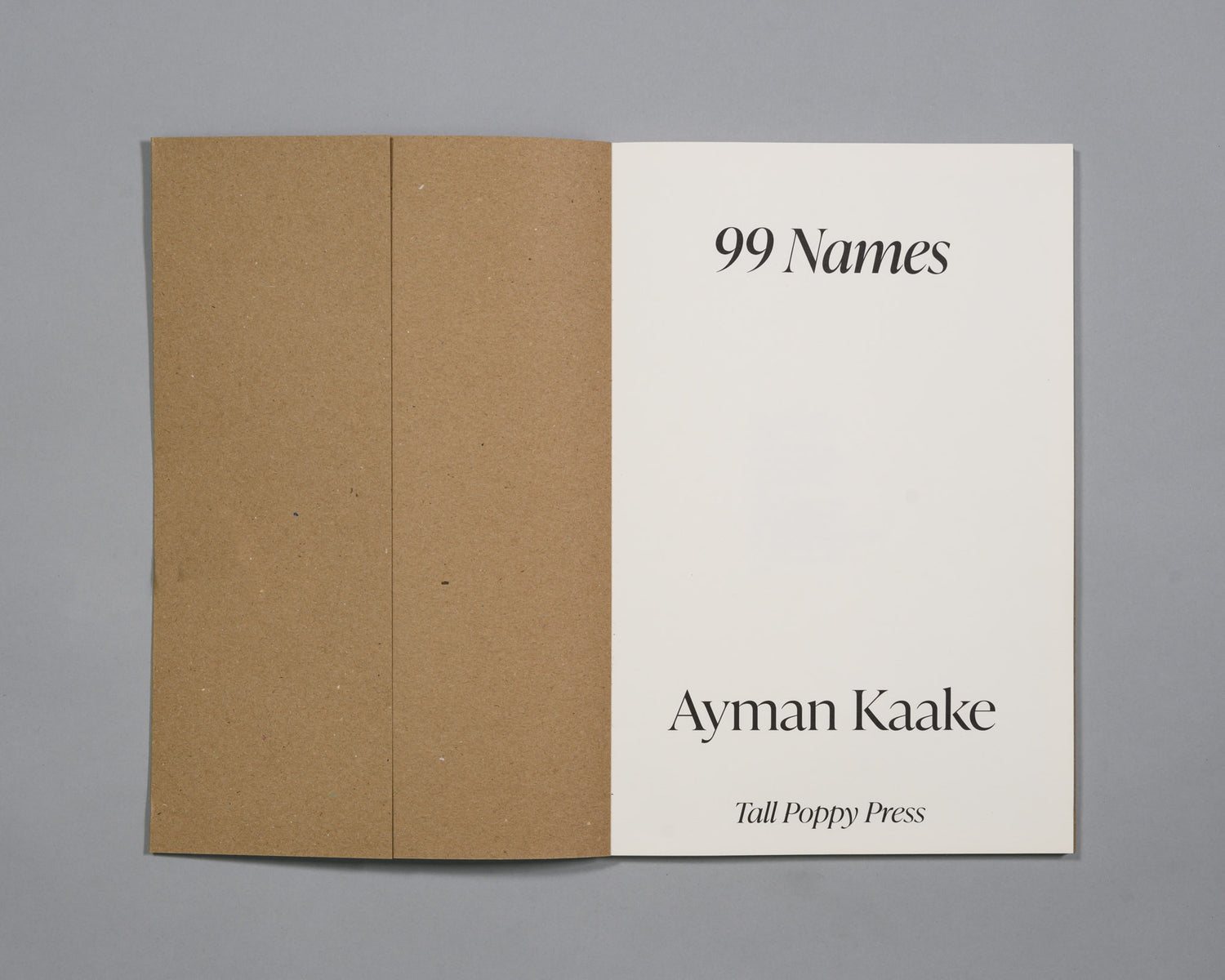 Ayman Kaake: 99 Names
