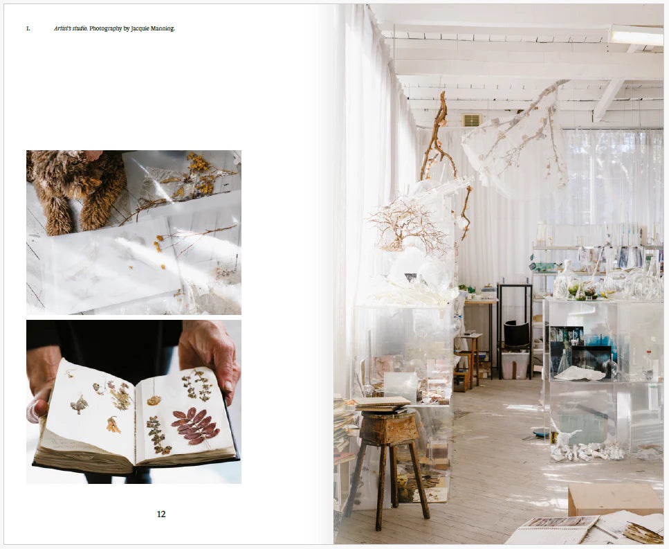 Janet Laurence: Tears of Dust