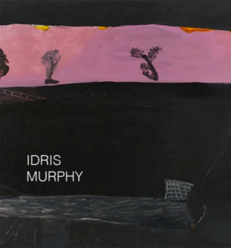 Idris Murphy: Backblocks