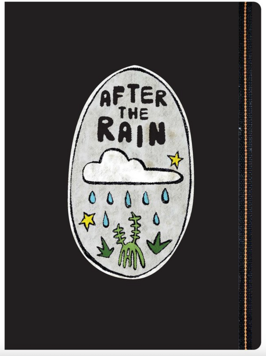 After the Rain: 5th National Indigenous Art Triennial