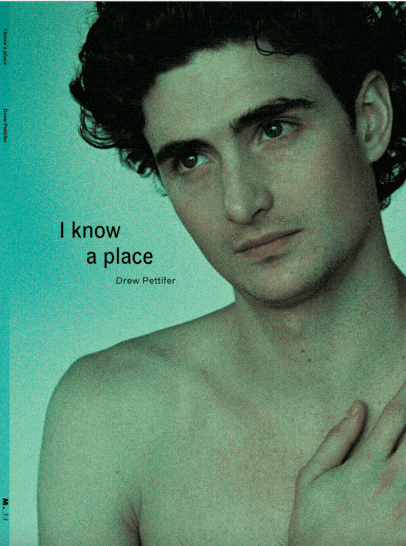 Shelf Portraits: Drew Pettifer and the act of looking