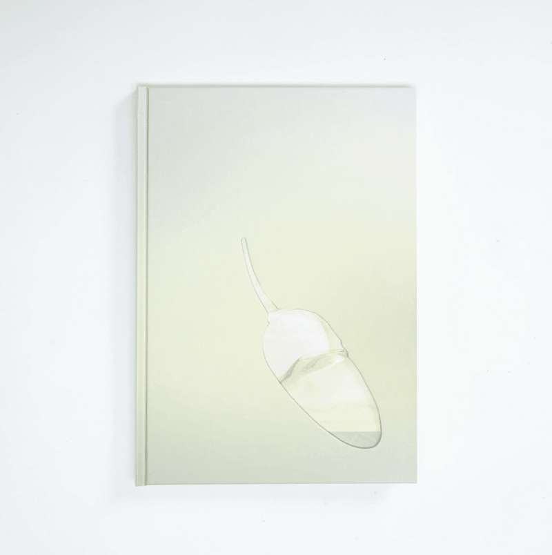 Shelf Portraits: Yhonnie Scarce’s artwork and research in print